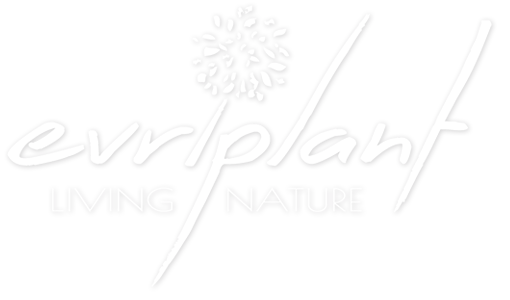 evriplant-logo-white-300