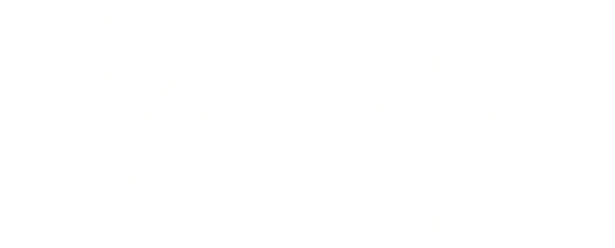 logo-white